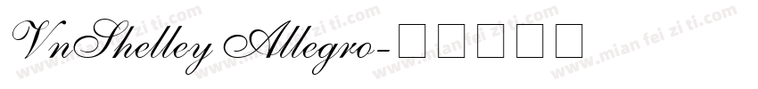 VnShelley Allegro字体转换